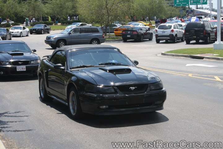 Black Mustang