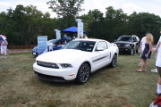 White California Special Mustang