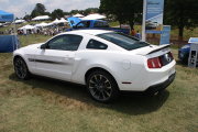 White California Special Mustang
