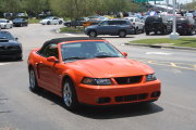 Orange Mustang