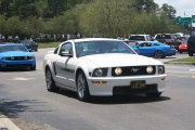 White Mustang Gt California Special