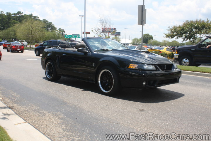 Black Mustang