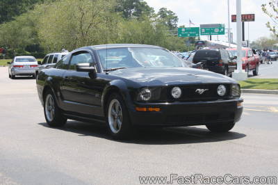 Black Mustang