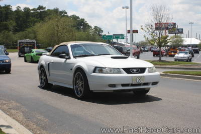 White Mustang